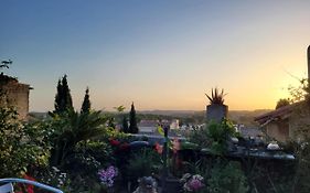 Un Nid Sur Les Toits Face Au Palais Des Papes