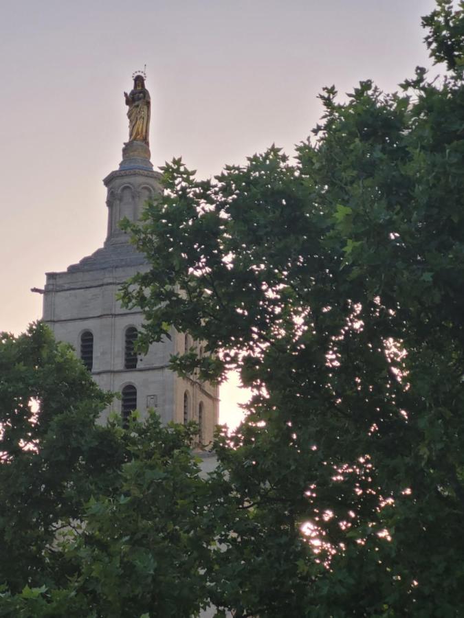 Ferienwohnung Un Nid Sur Les Toits Face Au Palais Des Papes Avignon Exterior foto