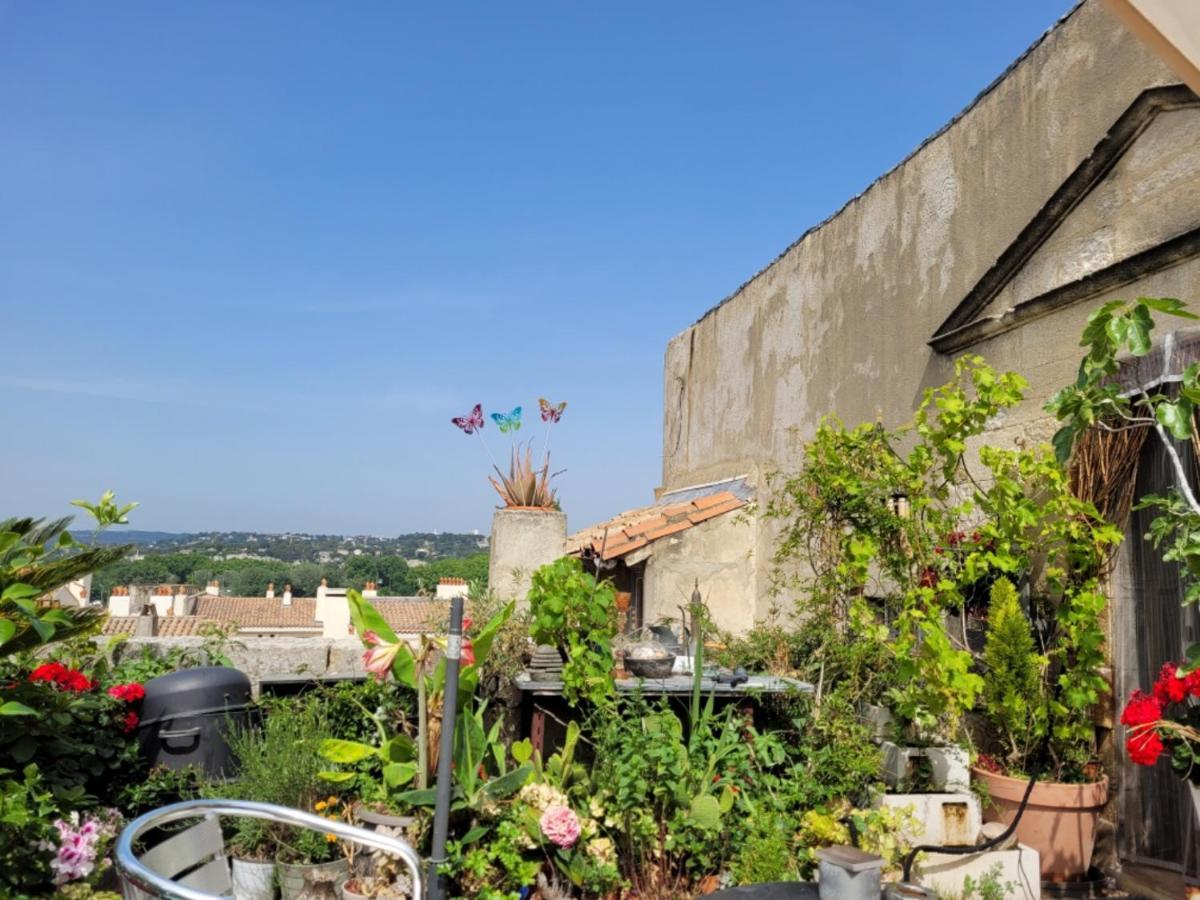 Ferienwohnung Un Nid Sur Les Toits Face Au Palais Des Papes Avignon Exterior foto