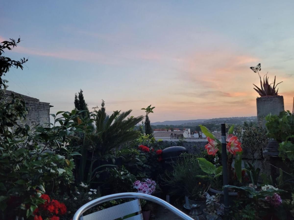 Ferienwohnung Un Nid Sur Les Toits Face Au Palais Des Papes Avignon Exterior foto