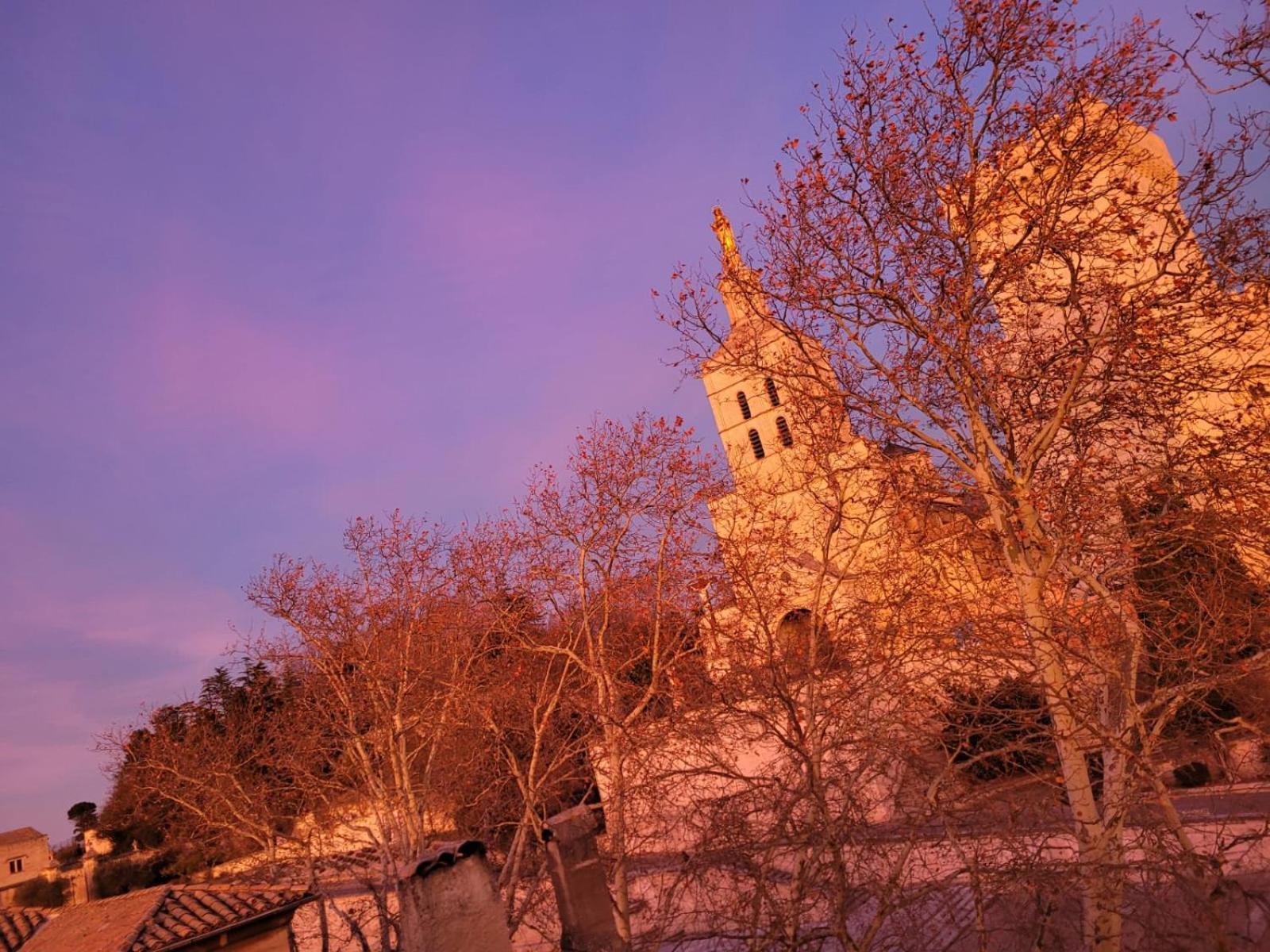 Ferienwohnung Un Nid Sur Les Toits Face Au Palais Des Papes Avignon Exterior foto