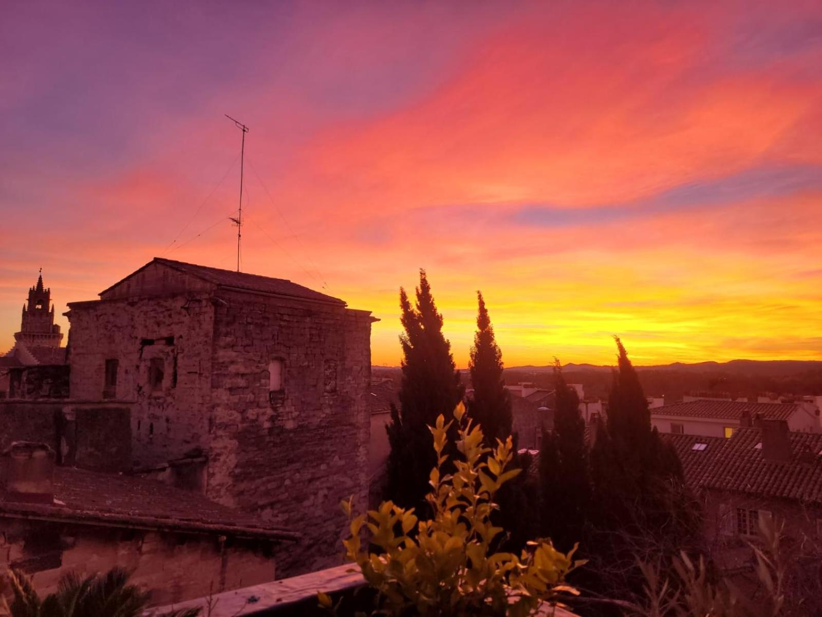 Ferienwohnung Un Nid Sur Les Toits Face Au Palais Des Papes Avignon Exterior foto