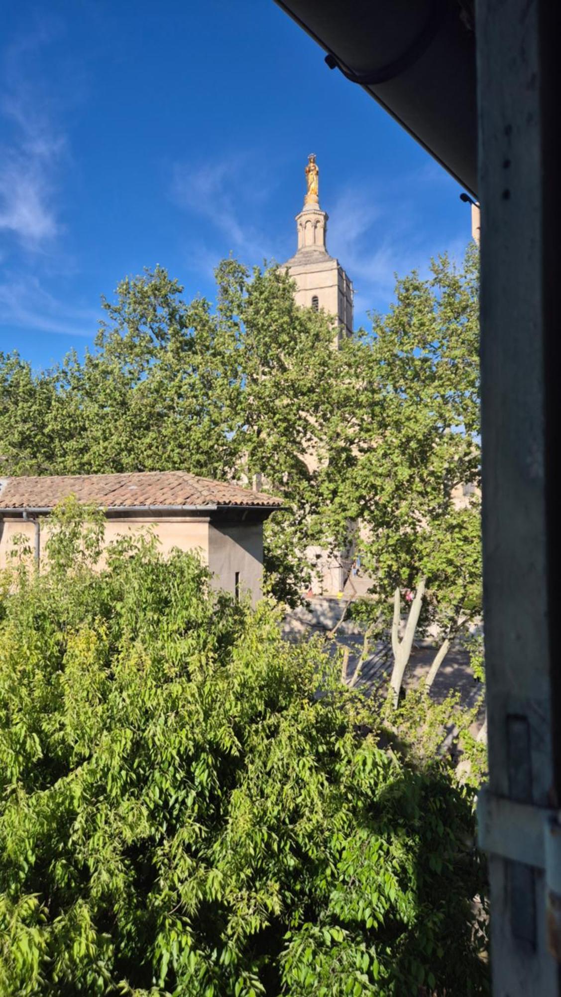 Ferienwohnung Un Nid Sur Les Toits Face Au Palais Des Papes Avignon Exterior foto